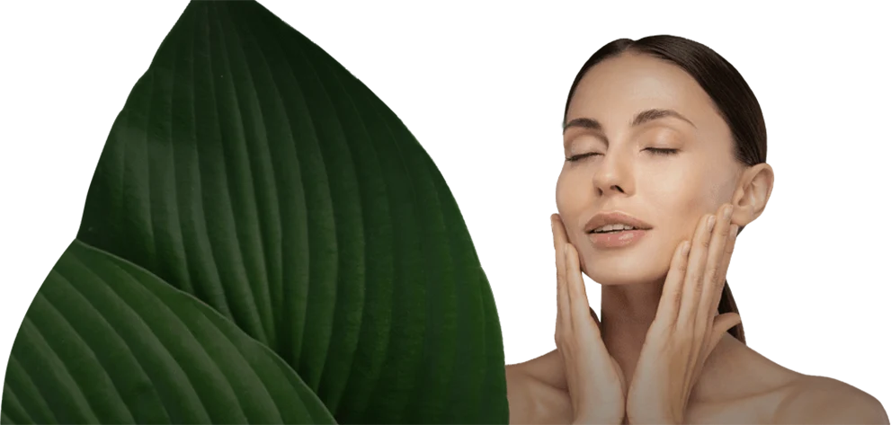 beautiful woman with green leaf background