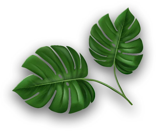 Green Leaf