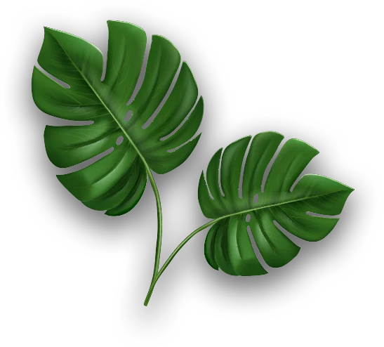Green Leaf
